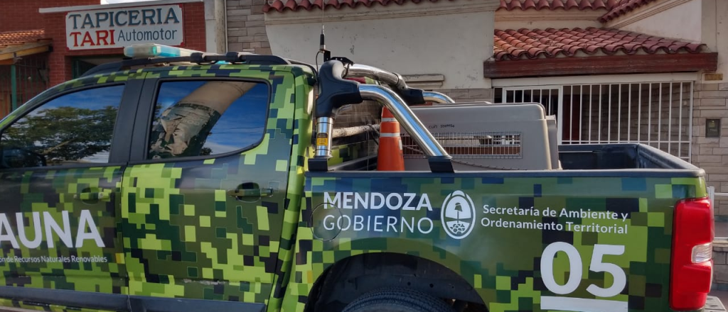 Secuestraron armas y aves en un allanamiento en Las Heras