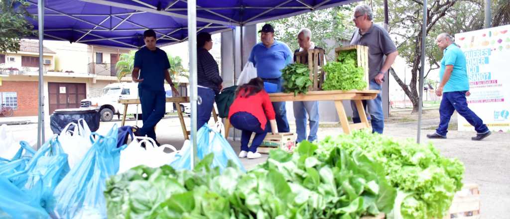 En Godoy Cruz venderán bolsones de verduras a $50 y kits escolares a $150