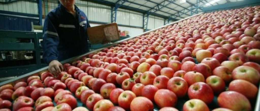 Argentina volverá a exportar peras y manzanas a Brasil