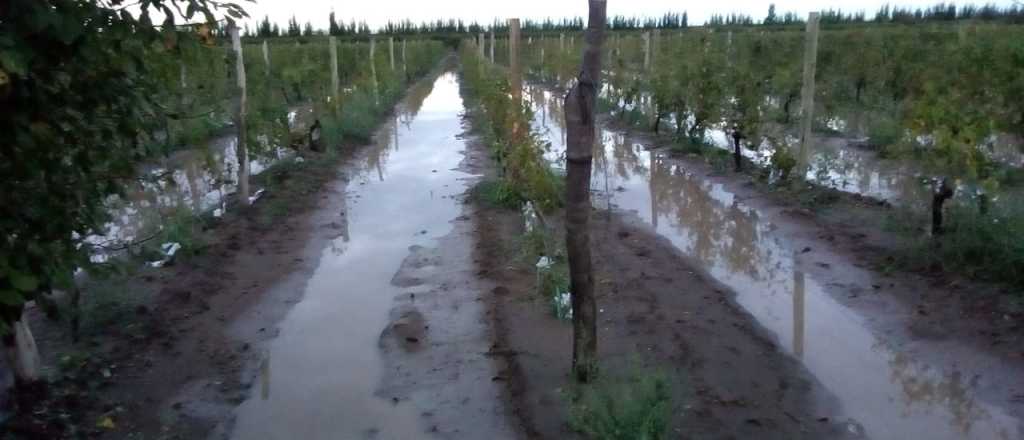 Alertas por tormentas fuertes, granizo y vientos para este sábado