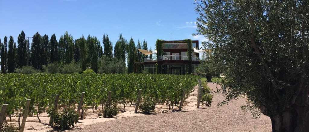 Terror en una bodega de Luján, a merced de 8 delincuentes 