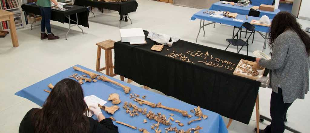 Antropología Forense tiene 600 cuerpos en custodia y  busca a familiares