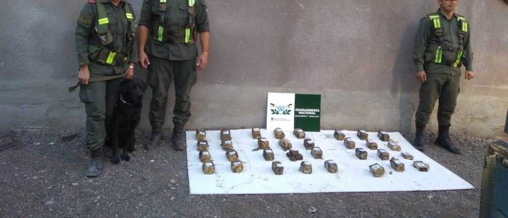 Perros hallaron 15 kilos de marihuana escondidos en un camión en Uspallata