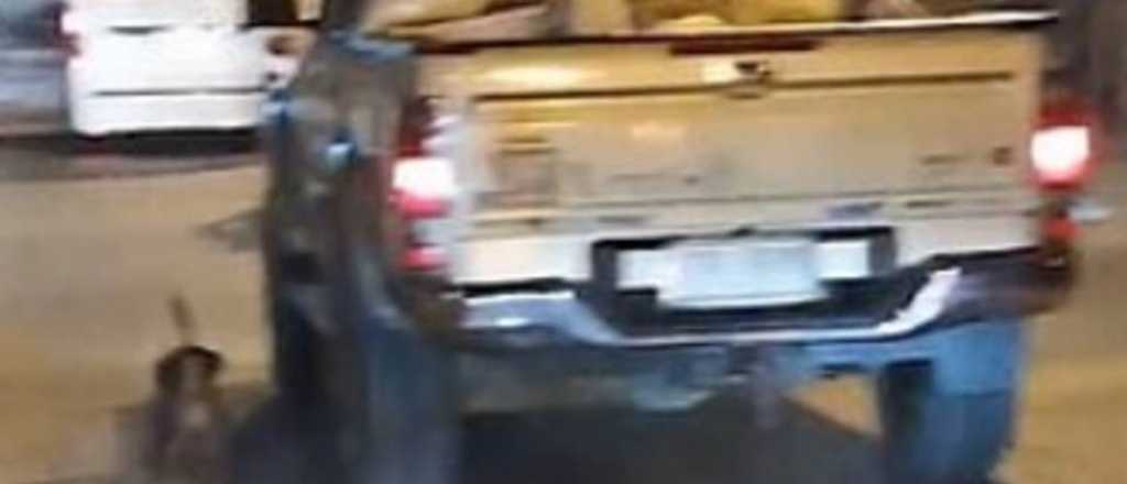 Video: un perro persiguió a su dueño luego de ser abandonado