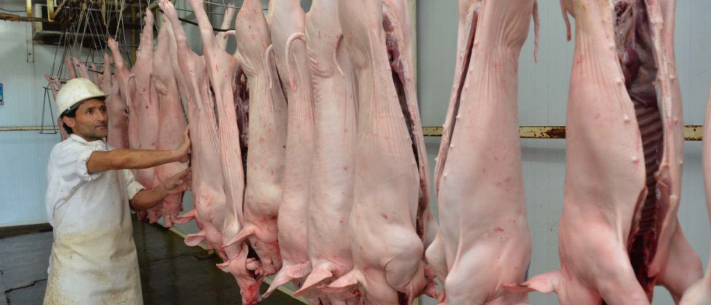 Buscan la apertura del mercado chino para la carne de cerdo argentina