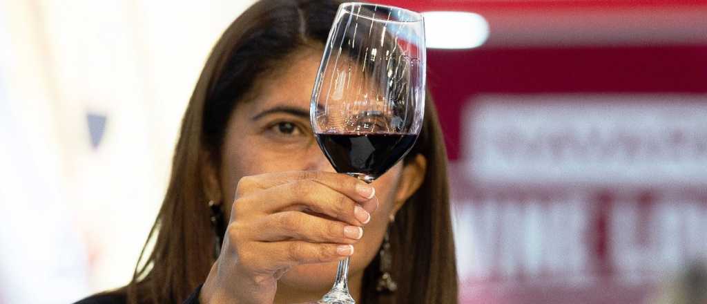 Un malbec mendocino fue reconocido en Francia como el mejor del mundo