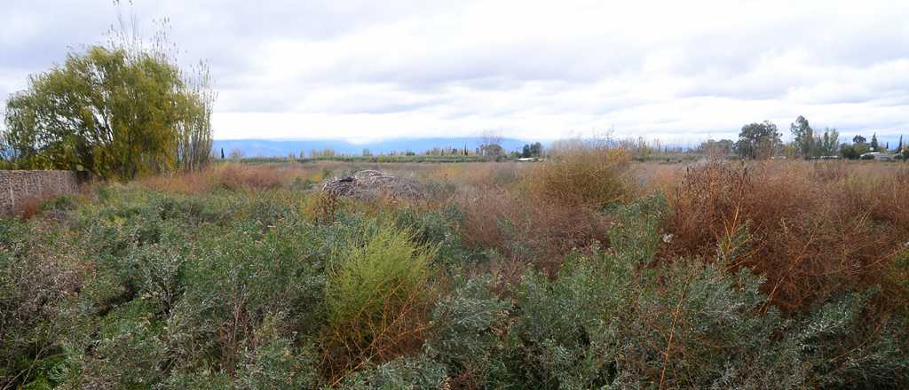 El "loteo de la Claudia" y otras riquezas del Clan Lobos