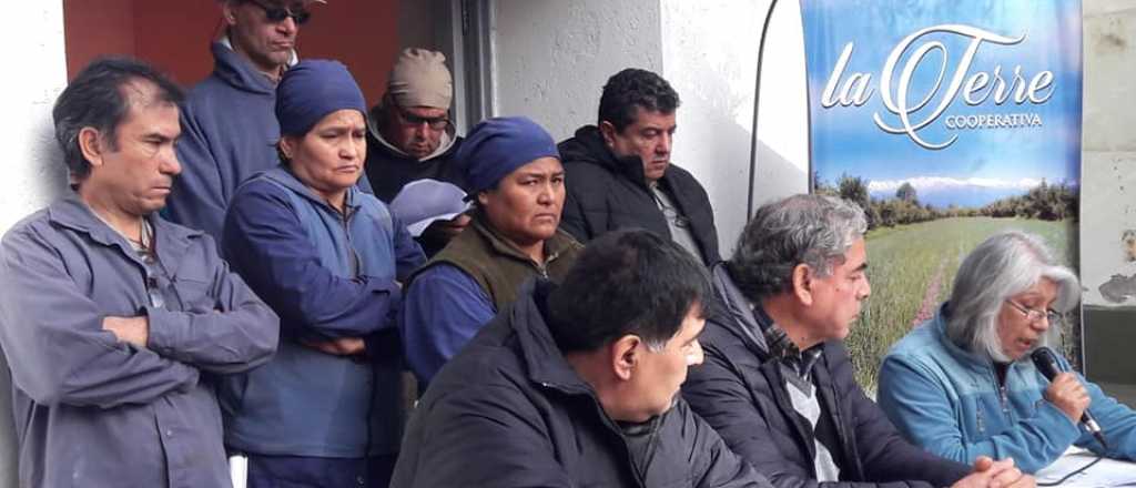 Los empleados quieren salvar a la ex empresa Matas