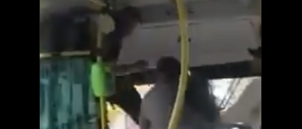 Video: brutal golpiza a un colectivero