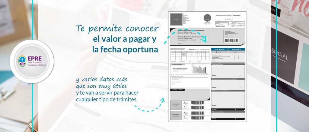 Conocé la nueva factura de luz que regirá en Mendoza