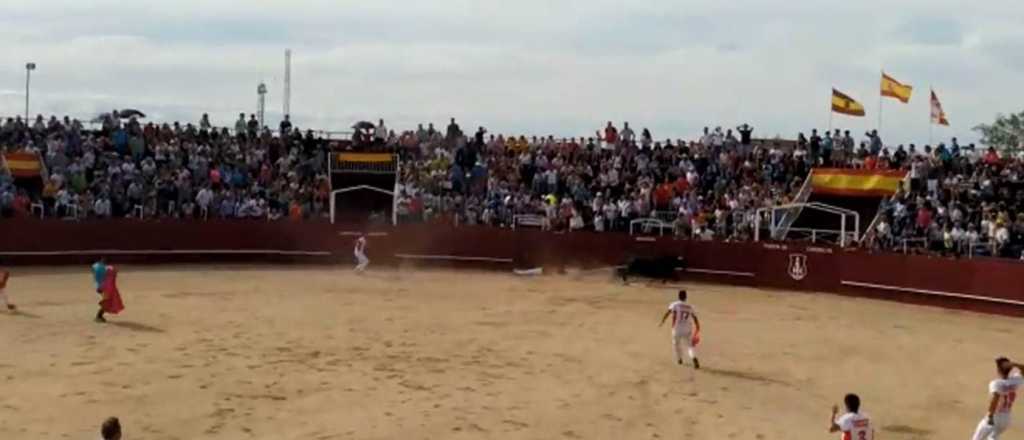 Video: un toro mató a un operario de una violenta embestida