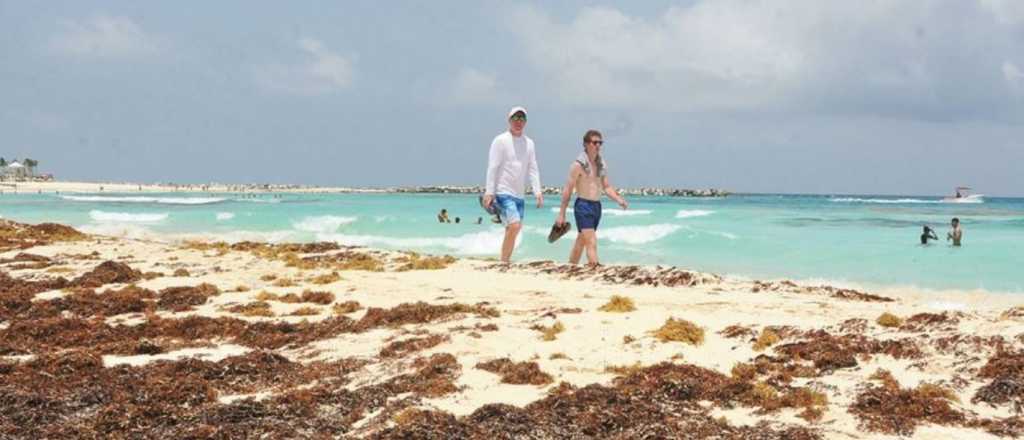 Una marea de algas invade las costas del Caribe