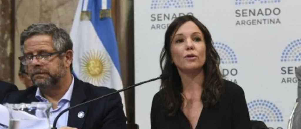 Polémica en Cambiemos por la anulación de Macri al protocolo de abortos