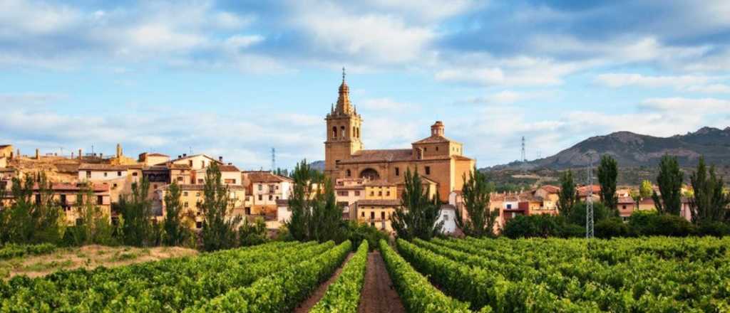 El viñedo de una bodega mendocina fue elegido como el mejor del mundo