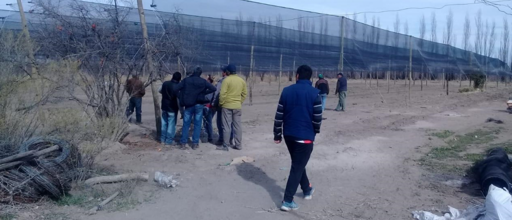 Protegen con malla antigranizo las hortalizas de 19 familias de San Rafael