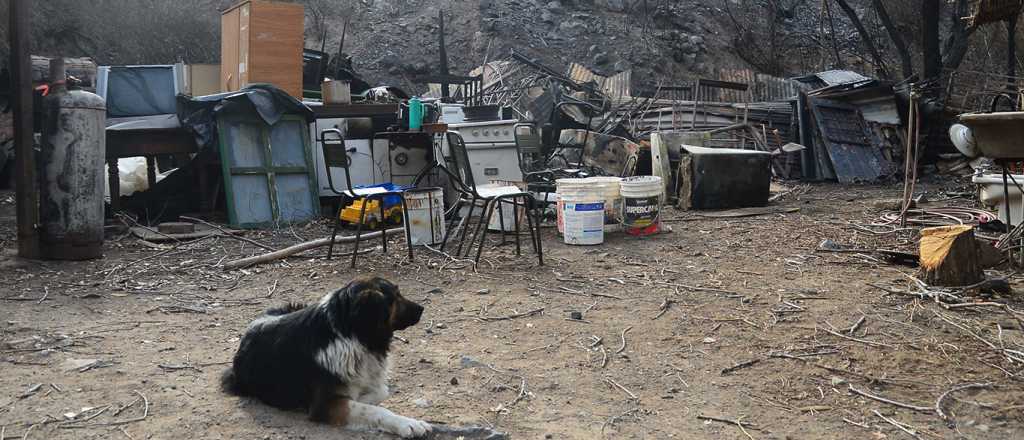 Luján lanzó un "decálogo de la prevención" para evitar incendios