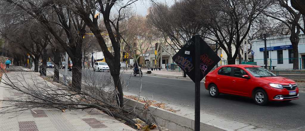 Así dejó el viento Zonda al Parque Cívico