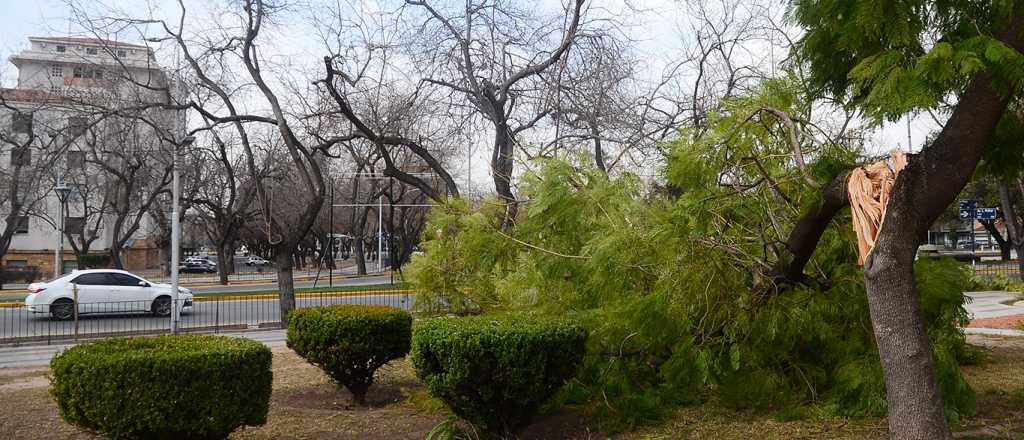 Alerta por Zonda en el Sur de Mendoza    