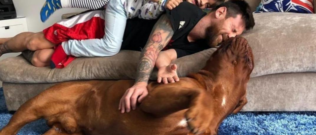 Messi, Mateo y el perro Hulk: los tres la rompen en un video que es viral