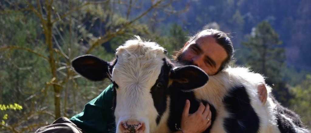 Viernes Santo no se come carne: "¿Y los veganos qué sacrifican?"