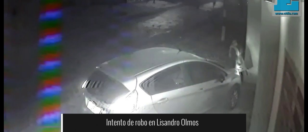 Video: una mujer enfrentó a un ladrón a patadas