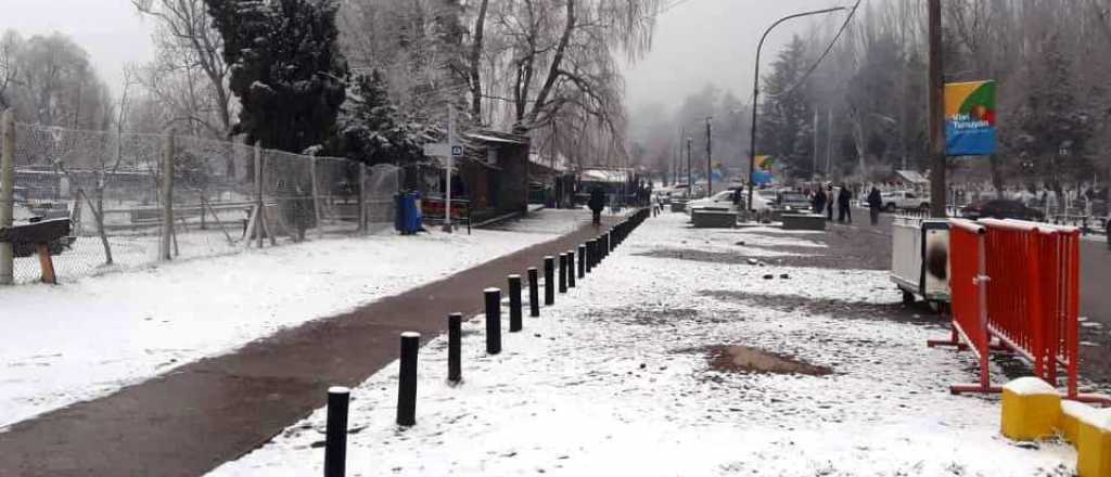 El Valle de Uco y el Sur amanecieron bajo un manto de nieve