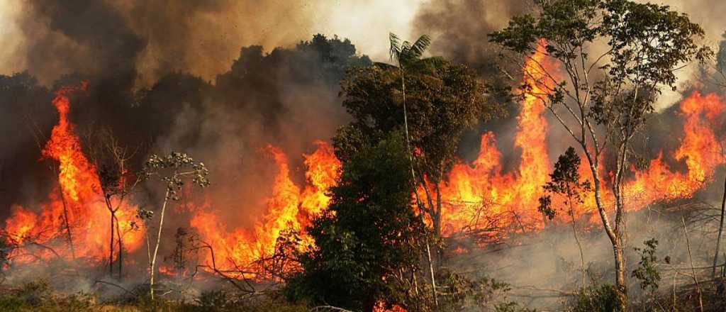 Ricky Martín, Camila Cabello y Di Caprio se suman a Amazonas-Notre Dame