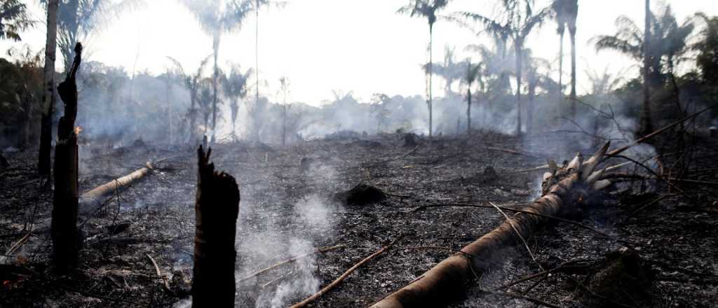 El fuego en el Amazonas afecta los "ríos voladores" que alimentan los Andes