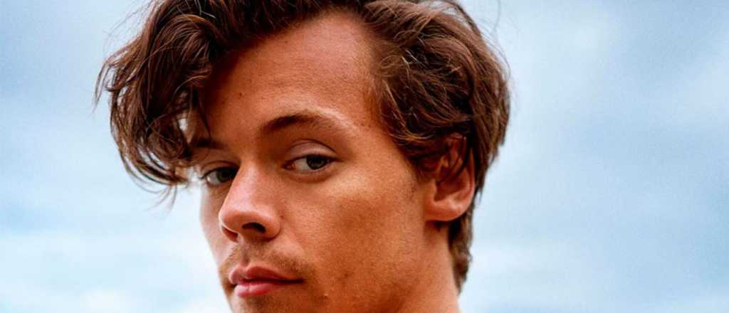 Harry Styles contó cuando probó hongos alucinógenos