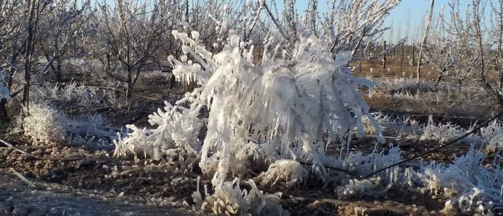 Alertan nuevas heladas para el Valle de Uco