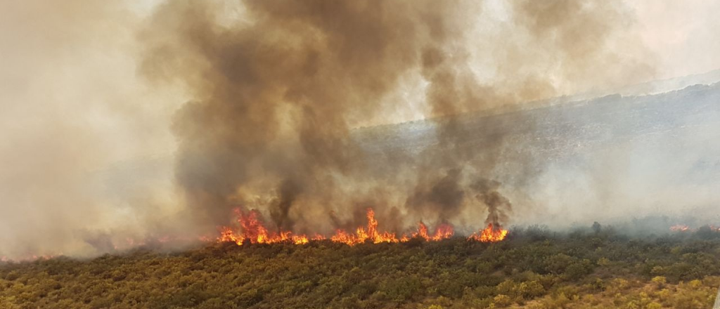 Apagaron a tiempo un incendio intencional en Tupungato