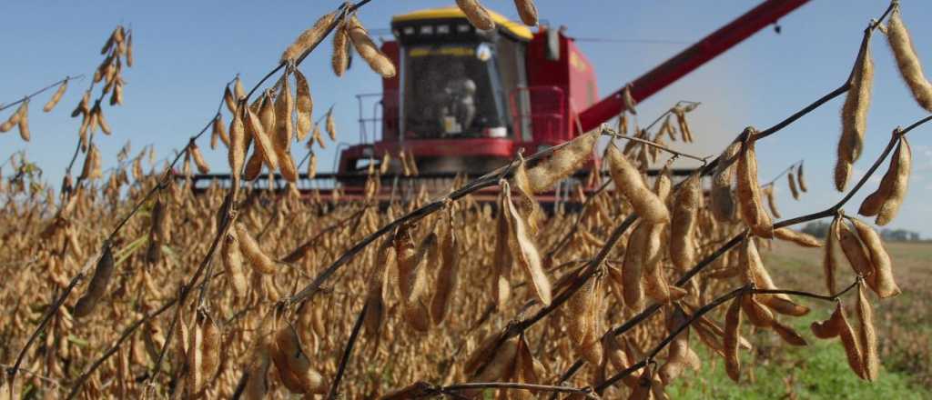 El campo se reúne en Córdoba y podría anunciar medidas de fuerza