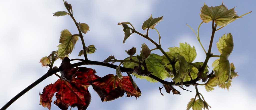 Cuándo empieza realmente la primavera y qué significado tiene