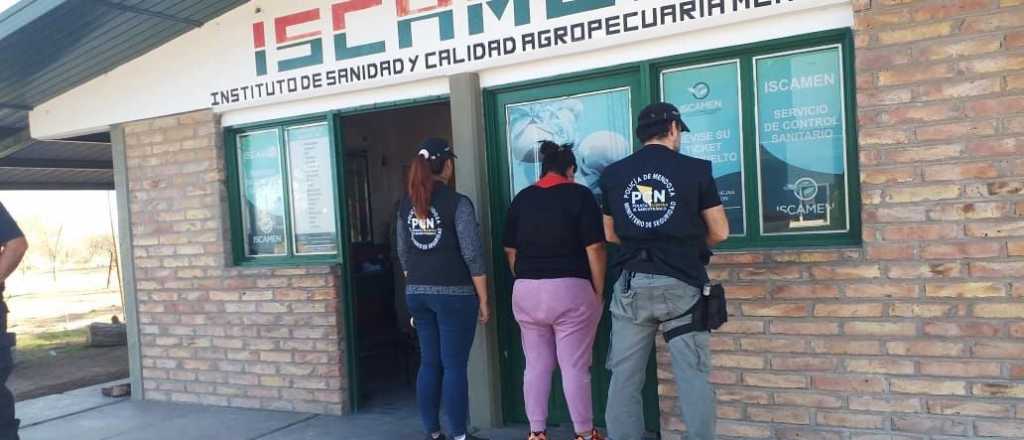 Una mujer fue arrestada con medio kilo de cocaína en General Alvear