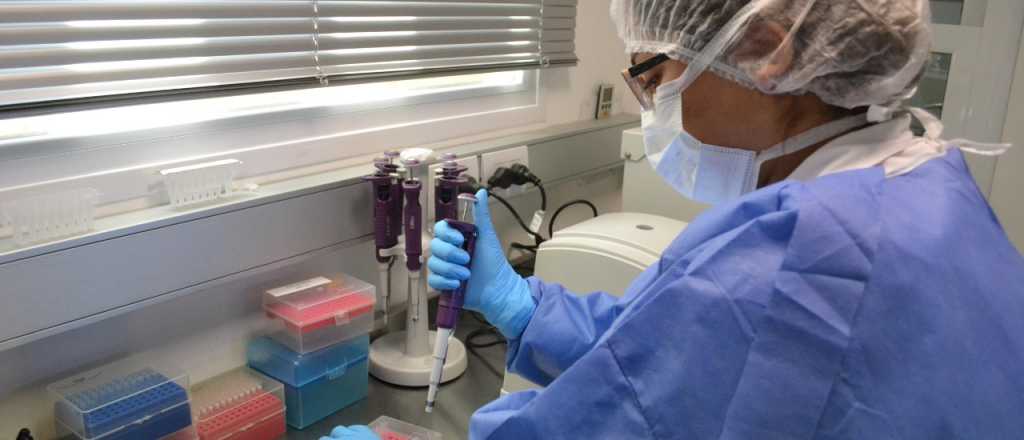 Aislamiento: duplicaron el ancho de banda a salud, educación y gobierno