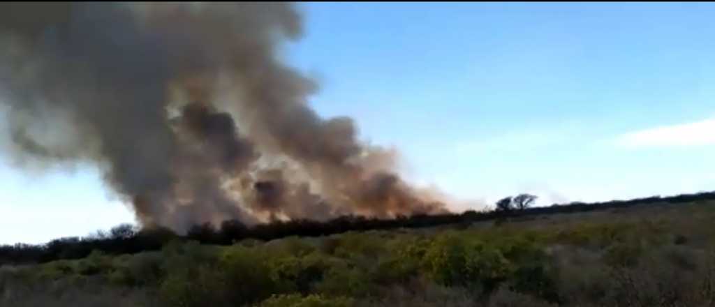 Controlaron un importante incendio en Santa Rosa