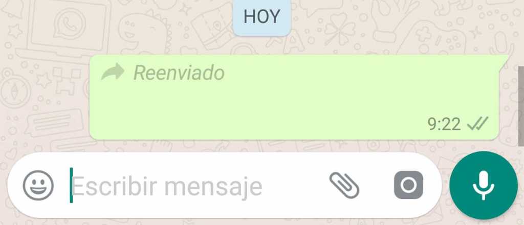 Cómo saber si reenviaron tus mensajes de WhatsApp
