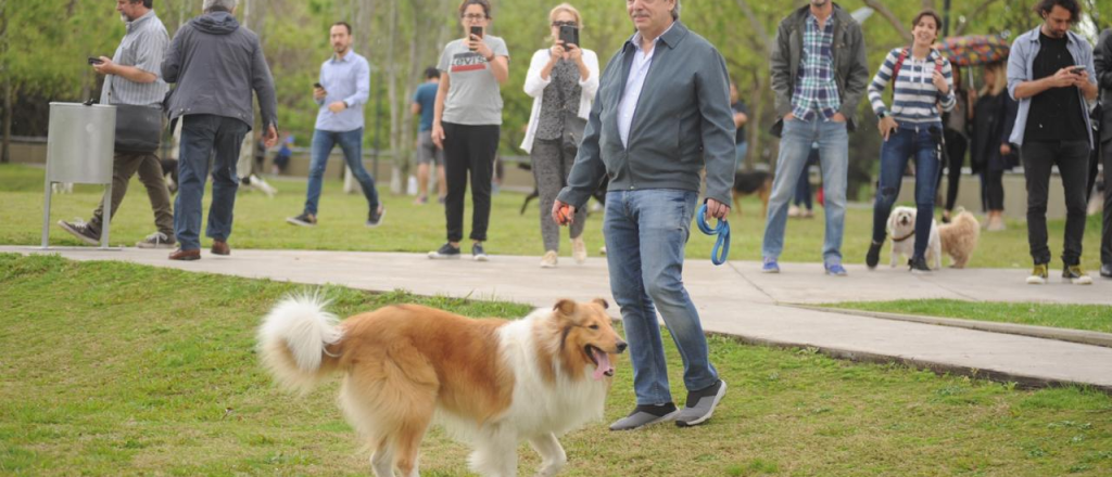 Alberto Fernández paseó a Dylan antes de votar rodeado de periodistas