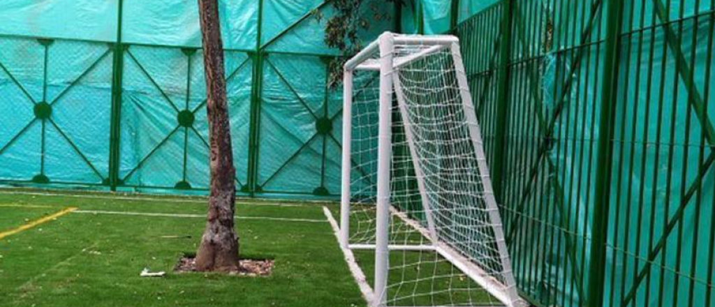 Construyeron una cancha de fútbol con dos árboles en medio de las áreas