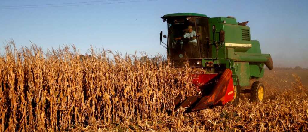 Argentina alcanzó un nuevo récord histórico en exportación de maíz