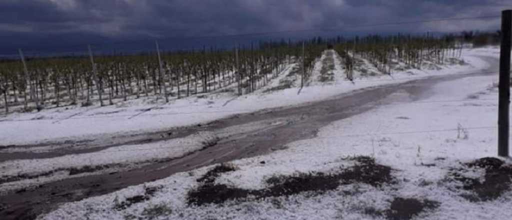 Fuerte tormenta de granizo cayó en Tupungato