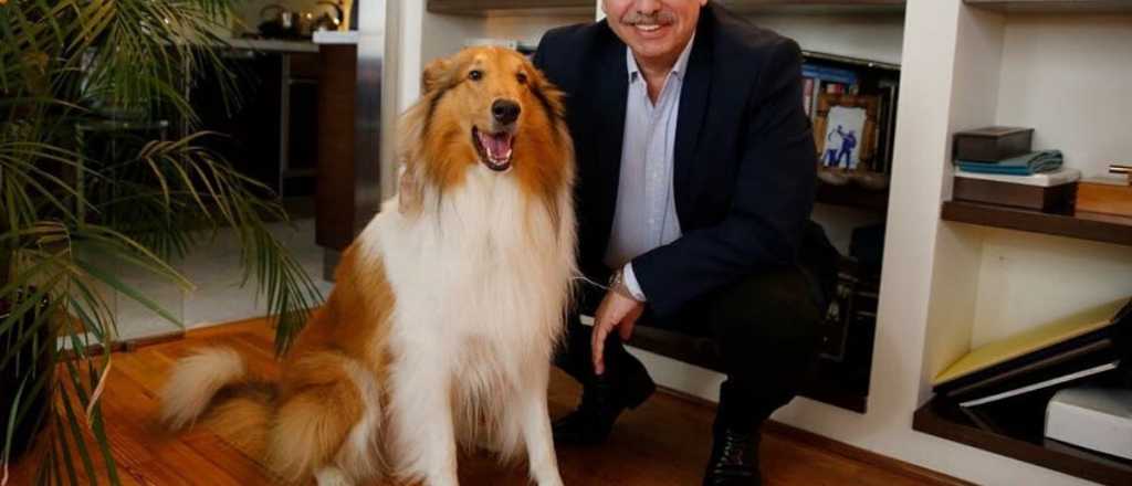 Video: así celebró Alberto Fernández el cumpleaños de su perro Dylan