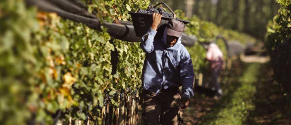 Cuánto cobrarán los viñateros esta temporada