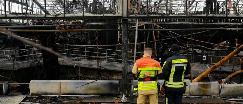 Alemania: por pirotecnia se incendió un zoo y murieron 30 monos