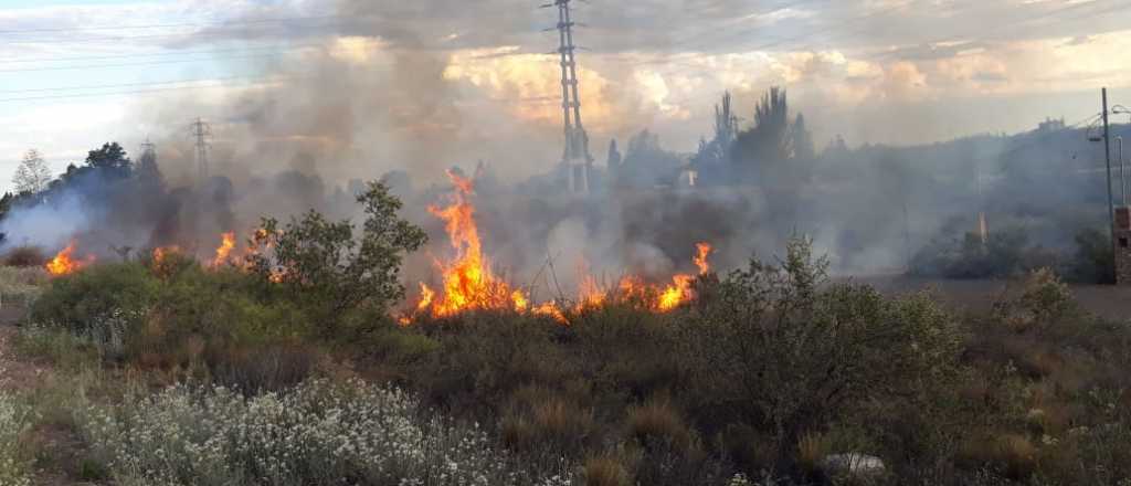 Video: un chico tiró un petardo y provocó un incendio en Cacheuta