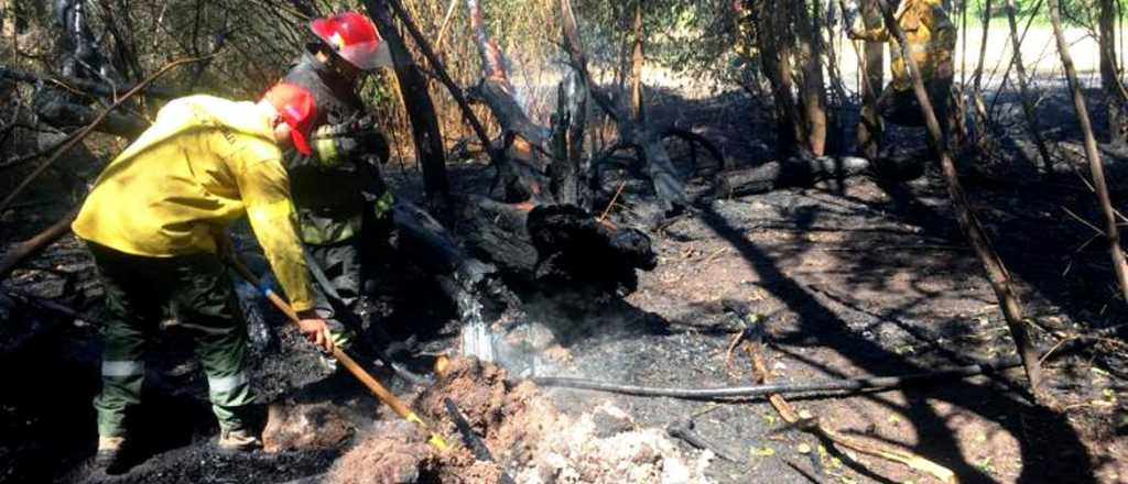 Hubo un incendio intencional en el Parque General San Martín