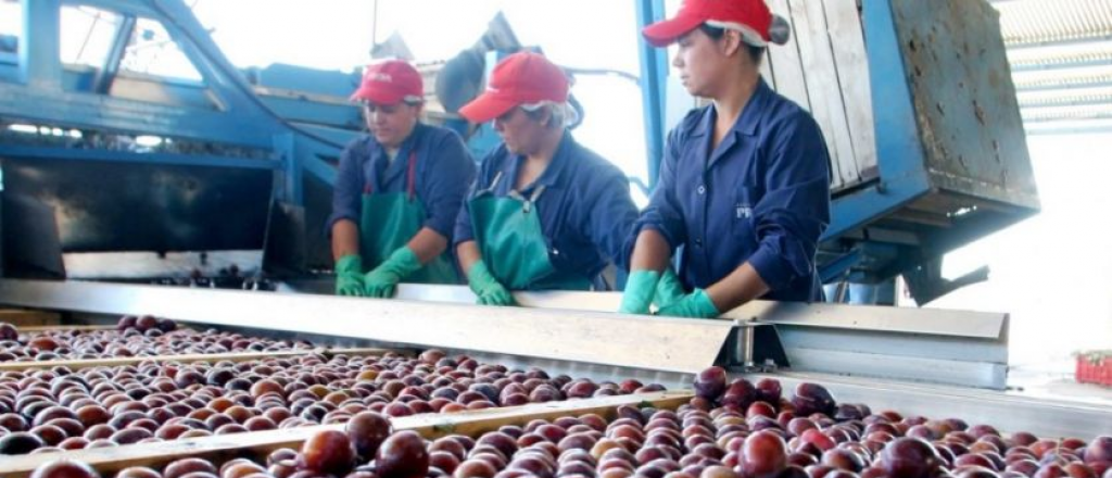 Productores de frutas miran de reojo la nueva desregulación anunciada