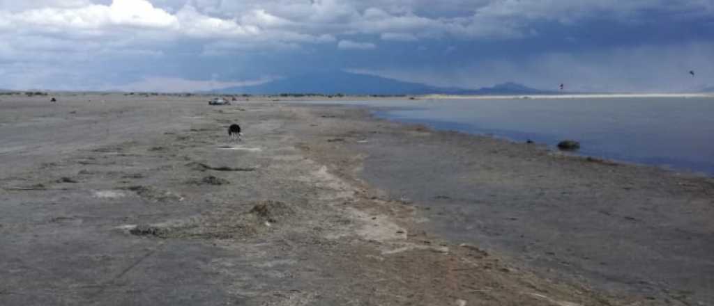La foto de El Nihuil que enciende la alarma por la sequía
