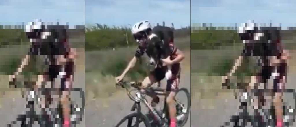 Video: ciclistas rescataron a un perro deshidratado en una ruta neuquina