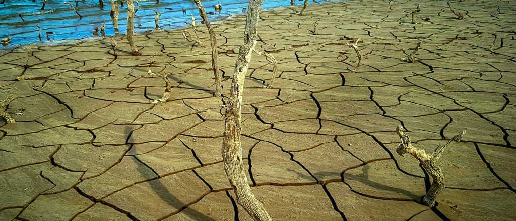 La crisis hídrica, en fotos que duelen